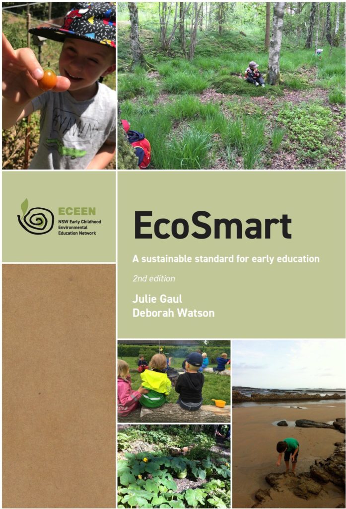 ecosmart-a-sustainable-standard-for-early-education-environmental