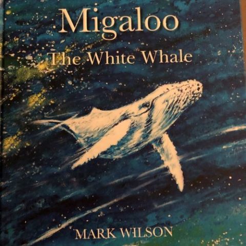 Migaloo- The White Whale | Environmental Education in Early Childhood